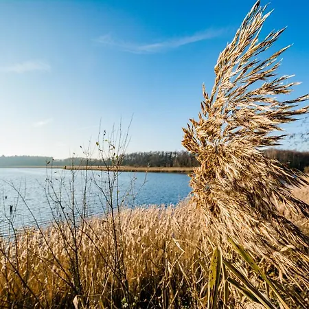 Fuer Ganze Familie - Kamin-sauna-see Krakow am See